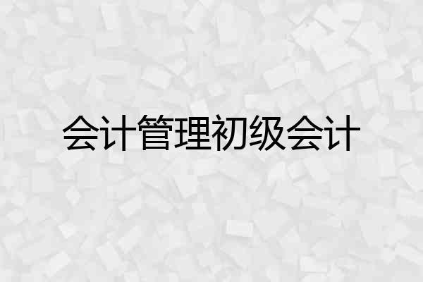 会计管理初级会计