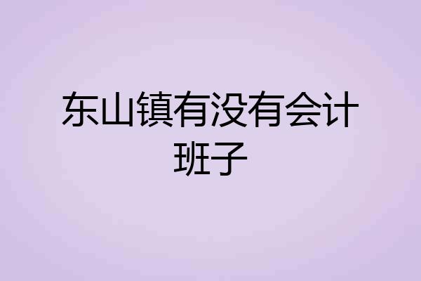 东山镇有没有会计班子
