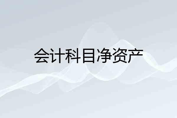 会计科目净资产