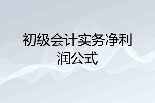 初级会计实务净利润公式