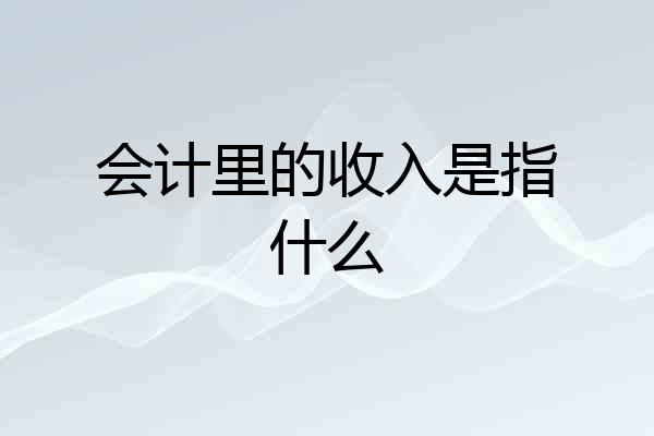 会计里的收入是指什么
