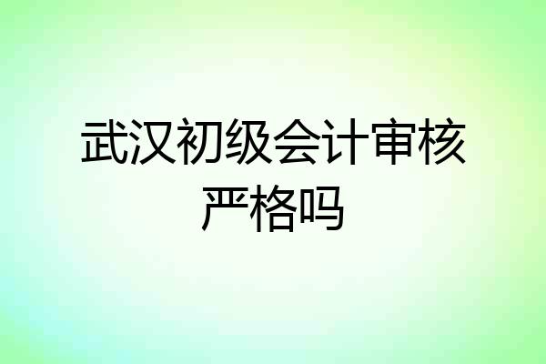 武汉初级会计审核严格吗