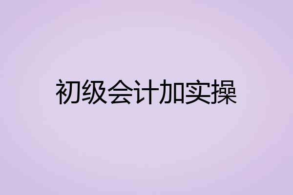 初级会计加实操