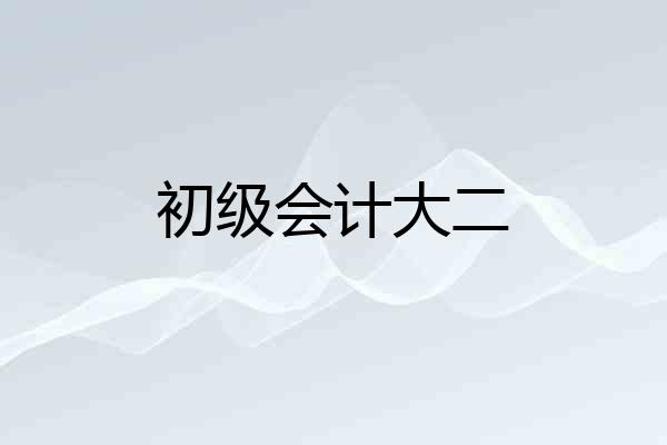 初级会计大二