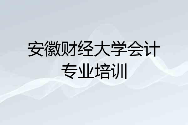 安徽财经大学会计专业培训