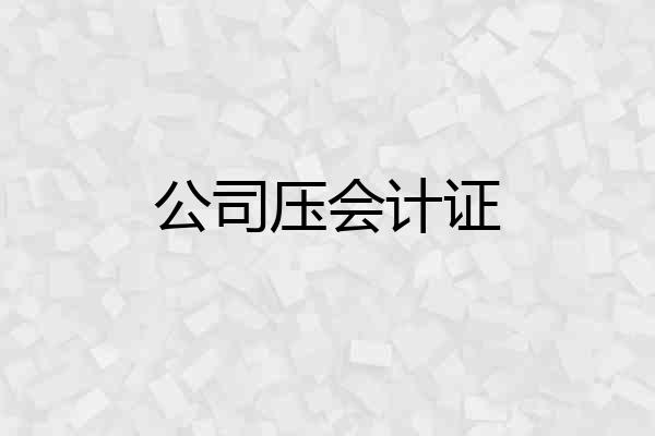 公司压会计证