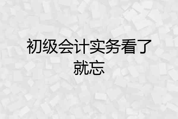 初级会计实务看了就忘