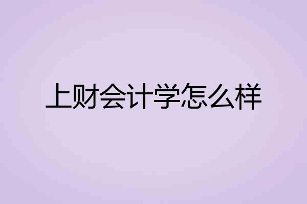 上财会计学怎么样
