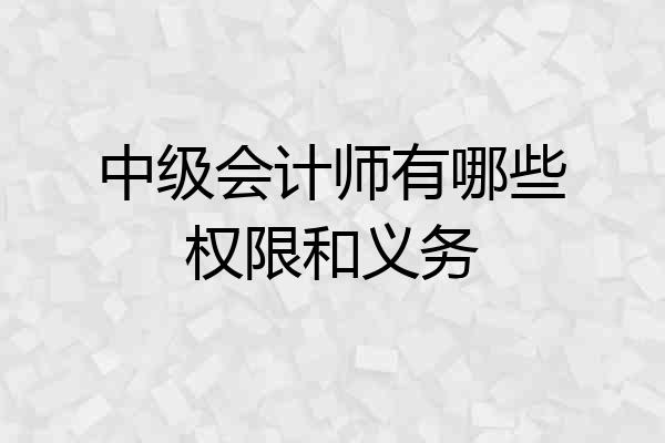 中级会计师有哪些权限和义务