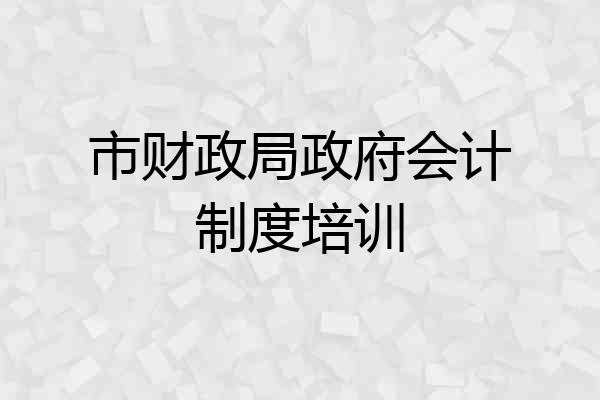 市财政局政府会计制度培训