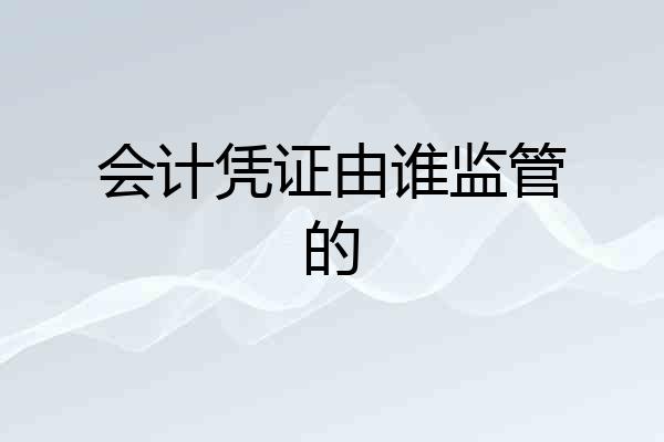 会计凭证由谁监管的