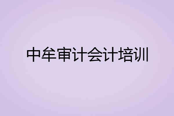 中牟审计会计培训