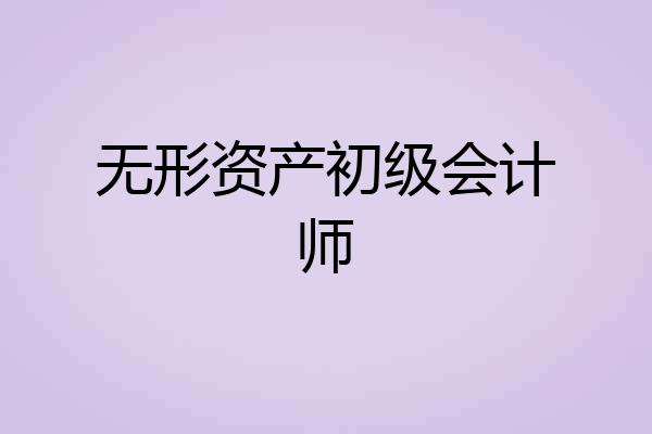 无形资产初级会计师