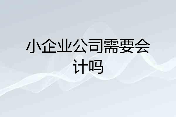 小企业公司需要会计吗