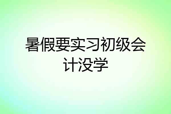 暑假要实习初级会计没学