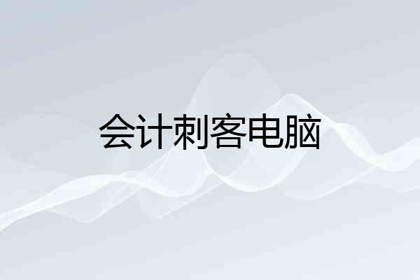 会计刺客电脑