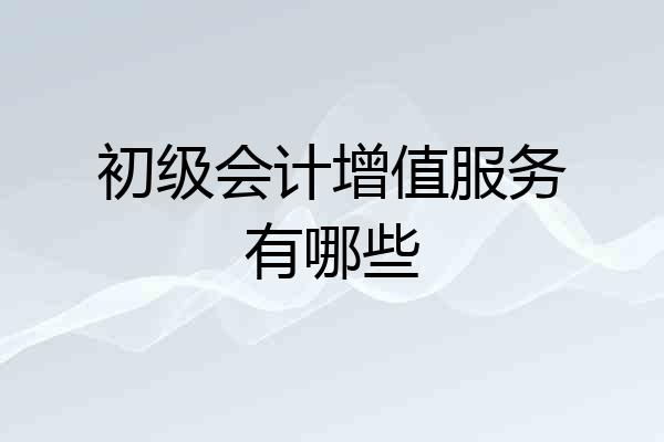 初级会计增值服务有哪些