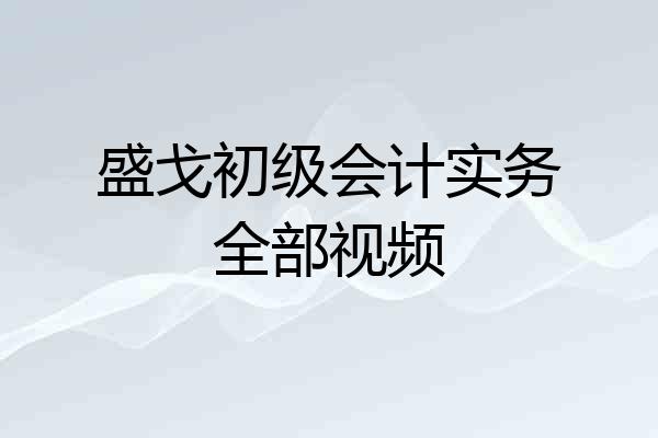 盛戈初级会计实务全部视频