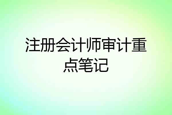 注册会计师审计重点笔记