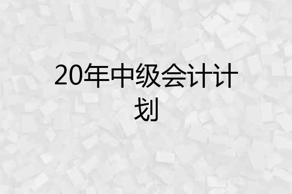 20年中级会计计划