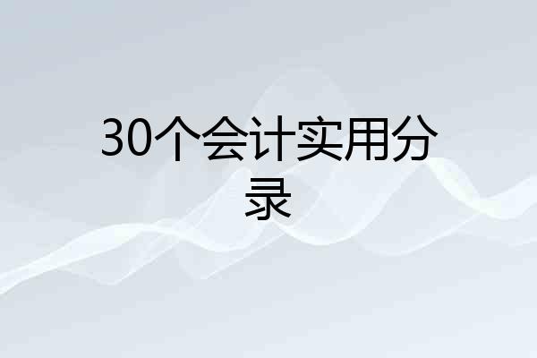 30个会计实用分录