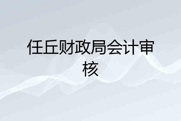任丘财政局会计审核