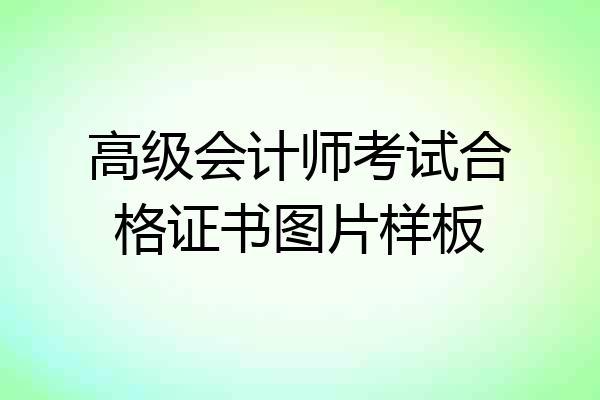 高级会计师考试合格证书图片样板