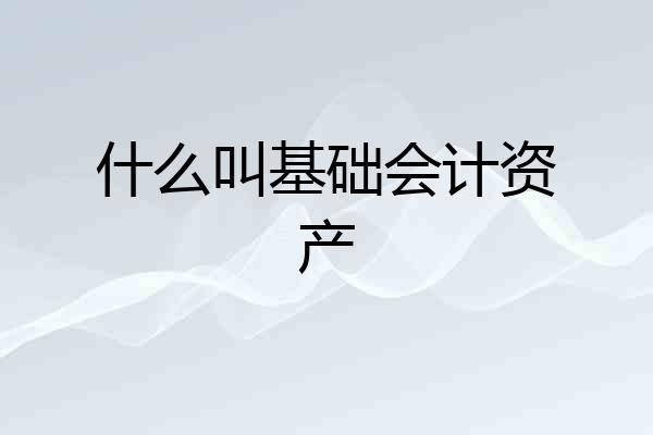 什么叫基础会计资产
