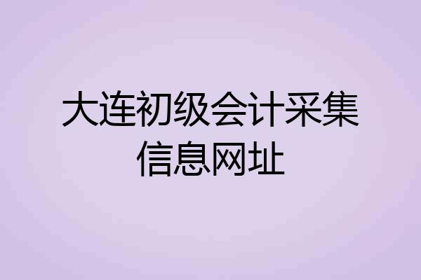 大连初级会计采集信息网址