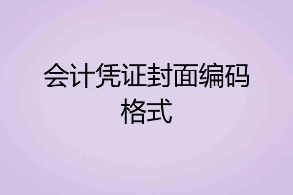 会计凭证封面编码格式