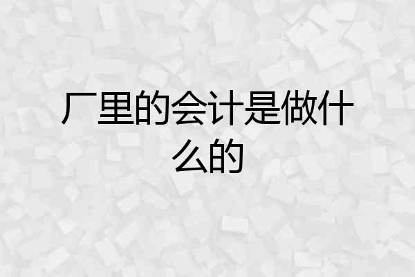 厂里的会计是做什么的