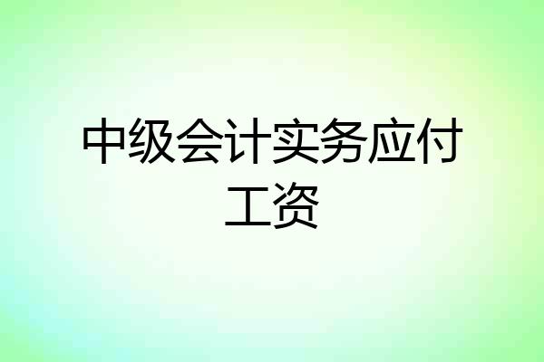 中级会计实务应付工资