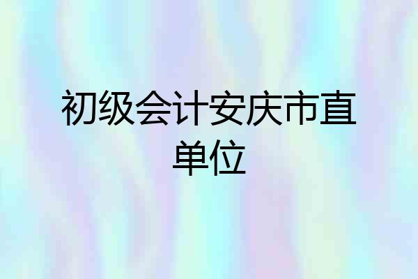 初级会计安庆市直单位