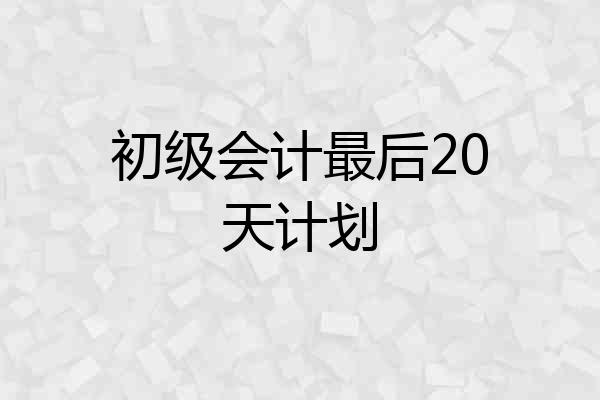 初级会计最后20天计划