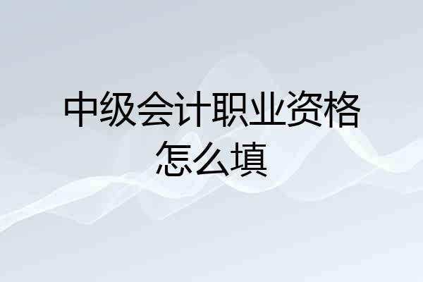 中级会计职业资格怎么填