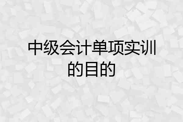 中级会计单项实训的目的