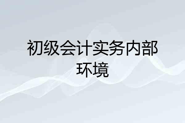 初级会计实务内部环境