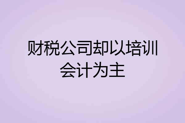 财税公司却以培训会计为主