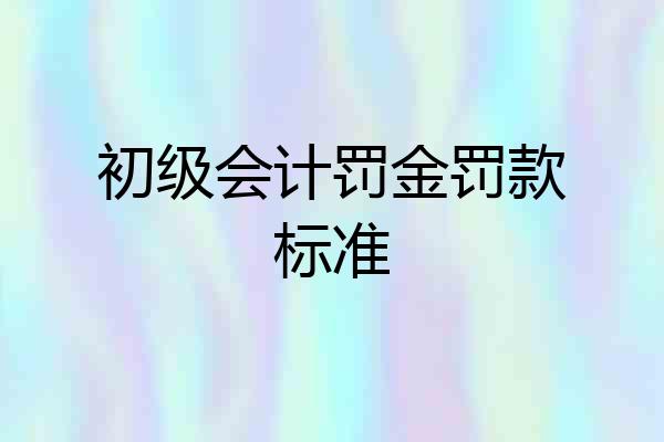 初级会计罚金罚款标准