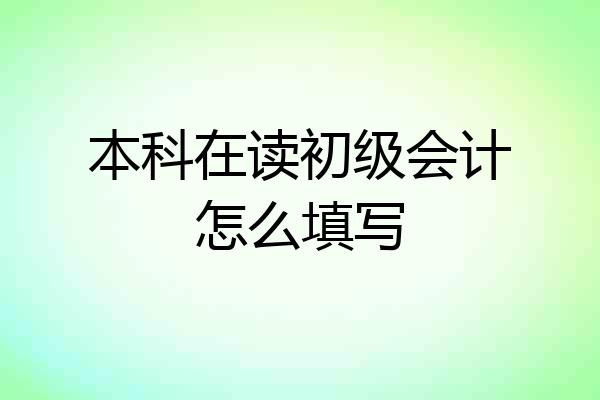 本科在读初级会计怎么填写