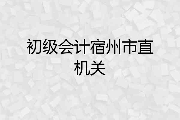 初级会计宿州市直机关
