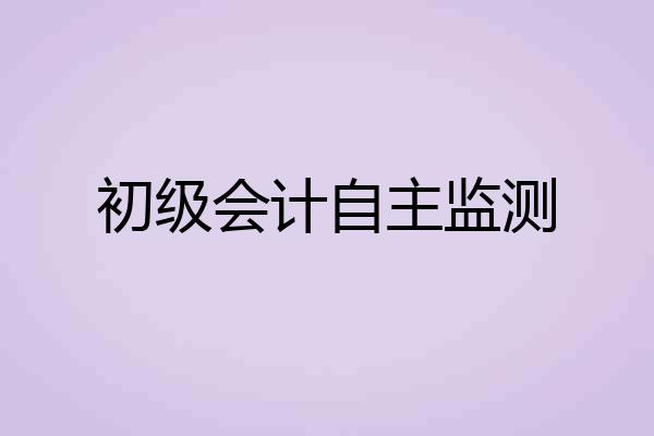 初级会计自主监测