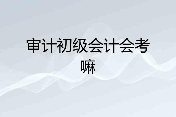 审计初级会计会考嘛