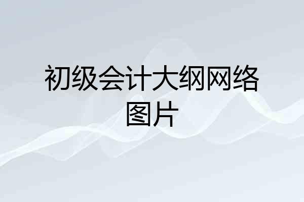 初级会计大纲网络图片