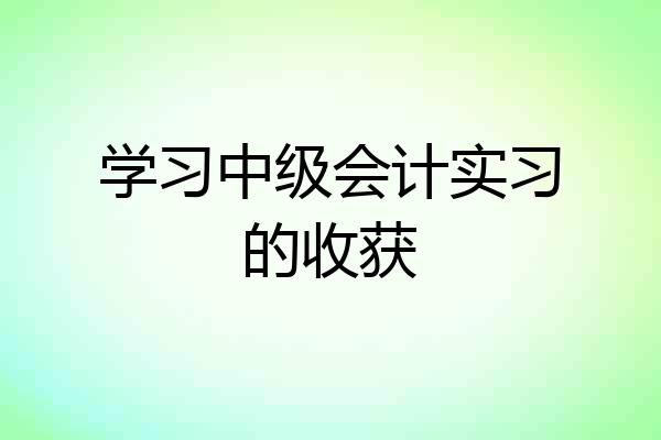 学习中级会计实习的收获