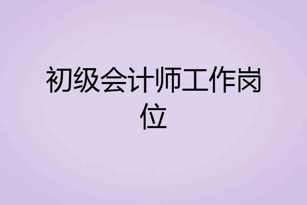 初级会计师工作岗位