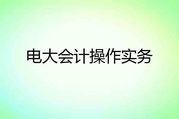 电大会计操作实务