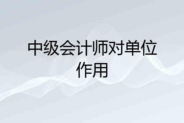 中级会计师对单位作用