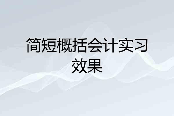 简短概括会计实习效果