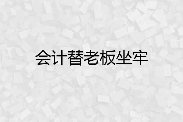会计替老板坐牢